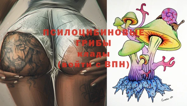 марки nbome Болотное